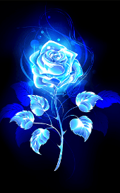 bluerose