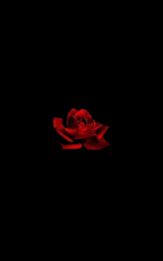 redrose